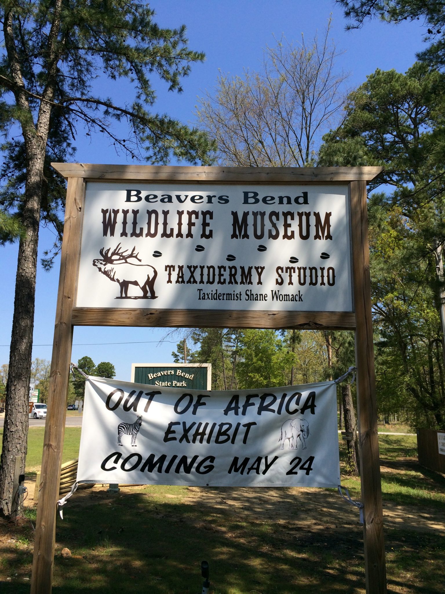 Beavers Bend Wildlife Museum | Broken Bow Area Taxidermy