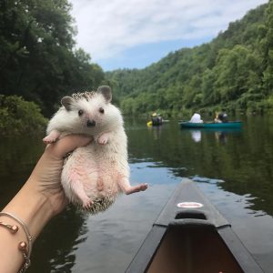Beavers Bend Kayaking