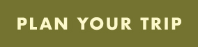 plan your trip fall button green