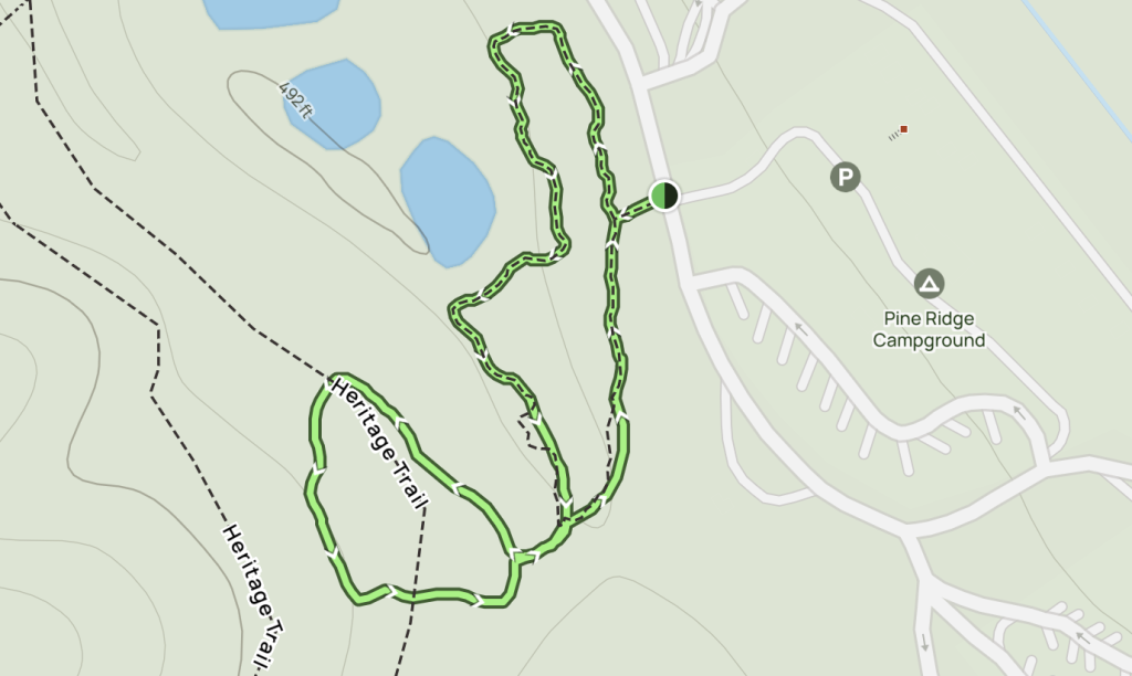 Pine Ridge Trail - Beavers Bend State Park