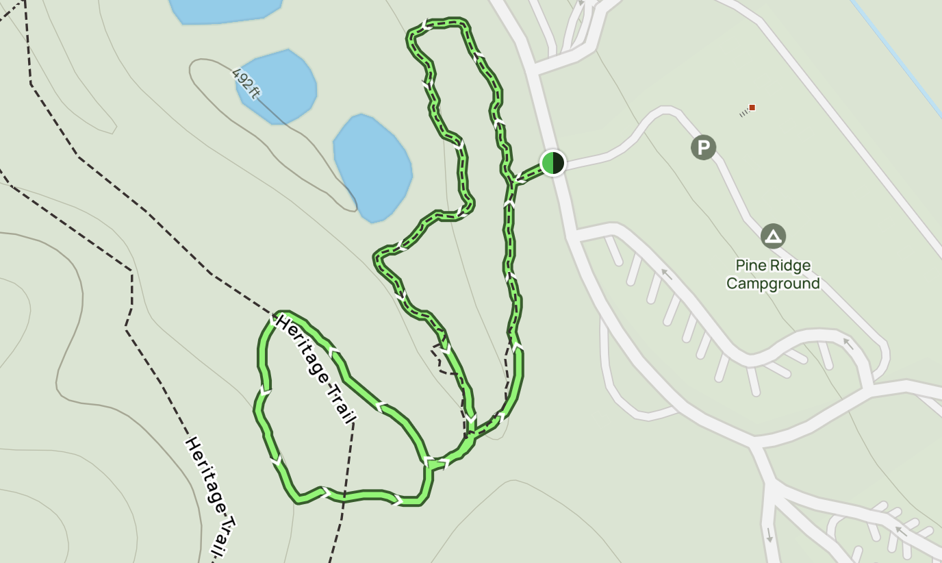 Pine Ridge Trail - Beavers Bend State Park