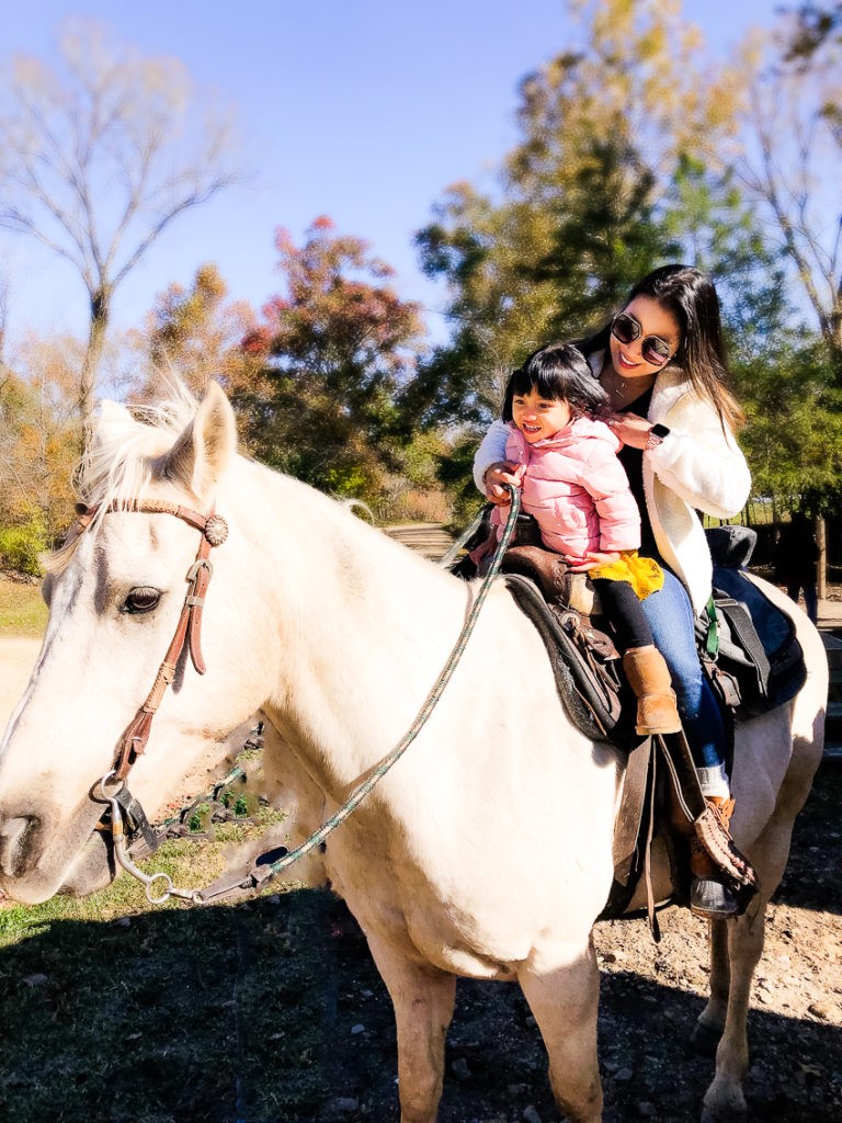 Horseback Riding Beavers Bend