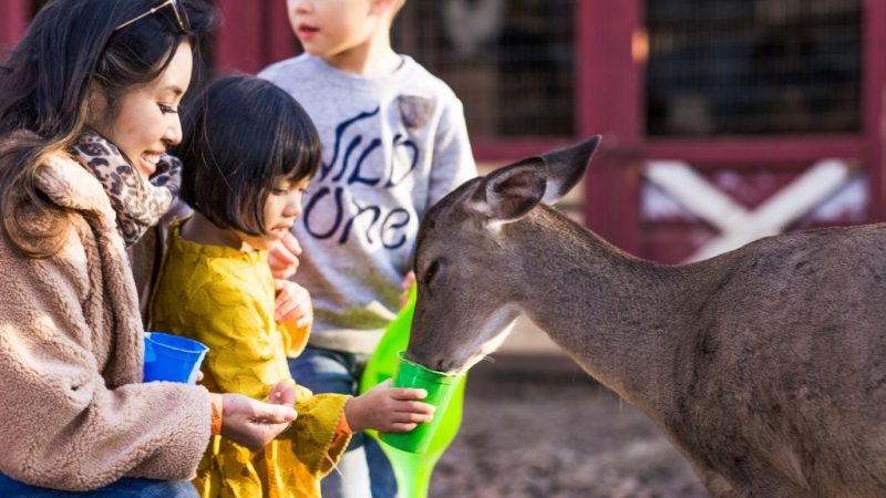 hochatownpettingzoo